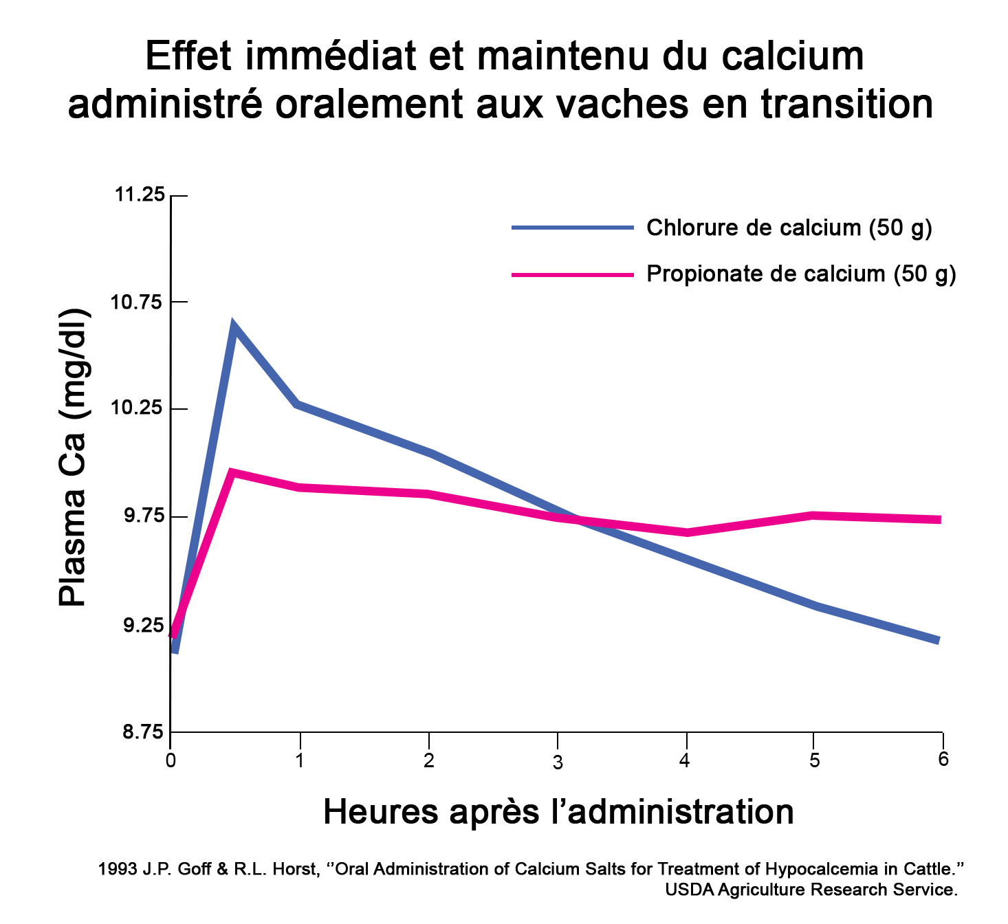 Effet immédiat et maintenu du calcium